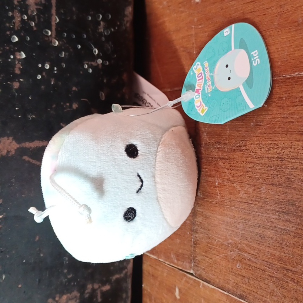 Squishmallows Micromallows 2024 Series 1 - Sid the Snail!